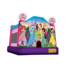 Disney Princess Bouncer