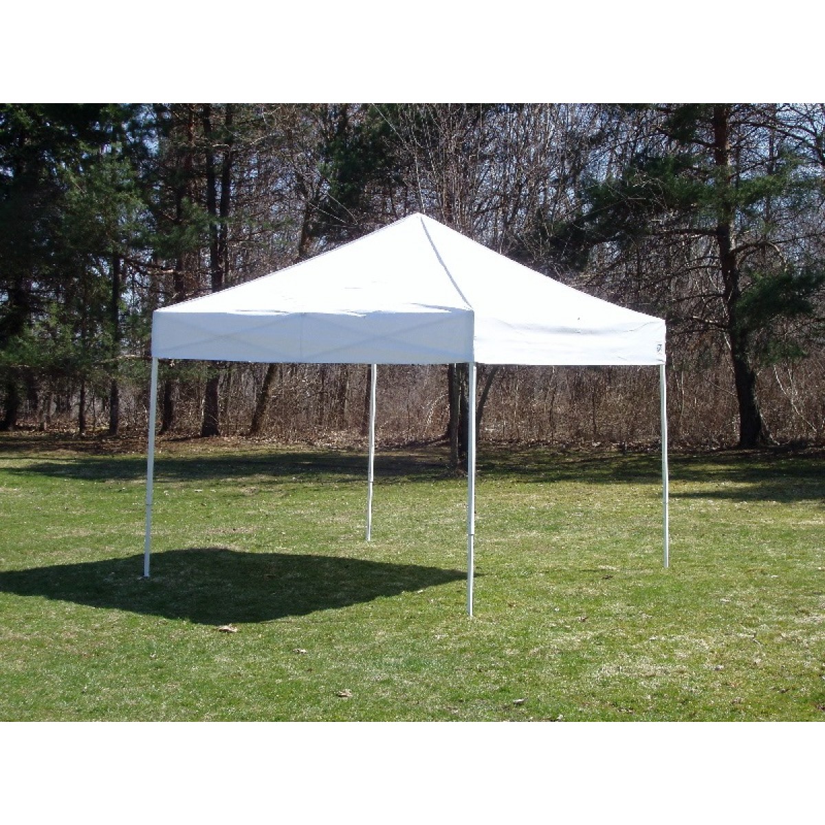 10'x10' Pop Up Canopy
