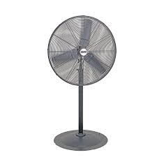 Pedestal Fan